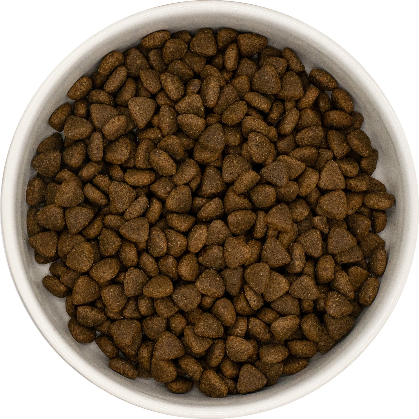 TASSGOTT KALKON FRÅN FRIGÅENDE UPPFÖDNING FÖR VALPAR