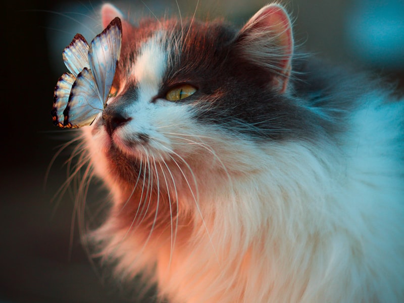 Snickare av Tasshörnet AB – projekt 3